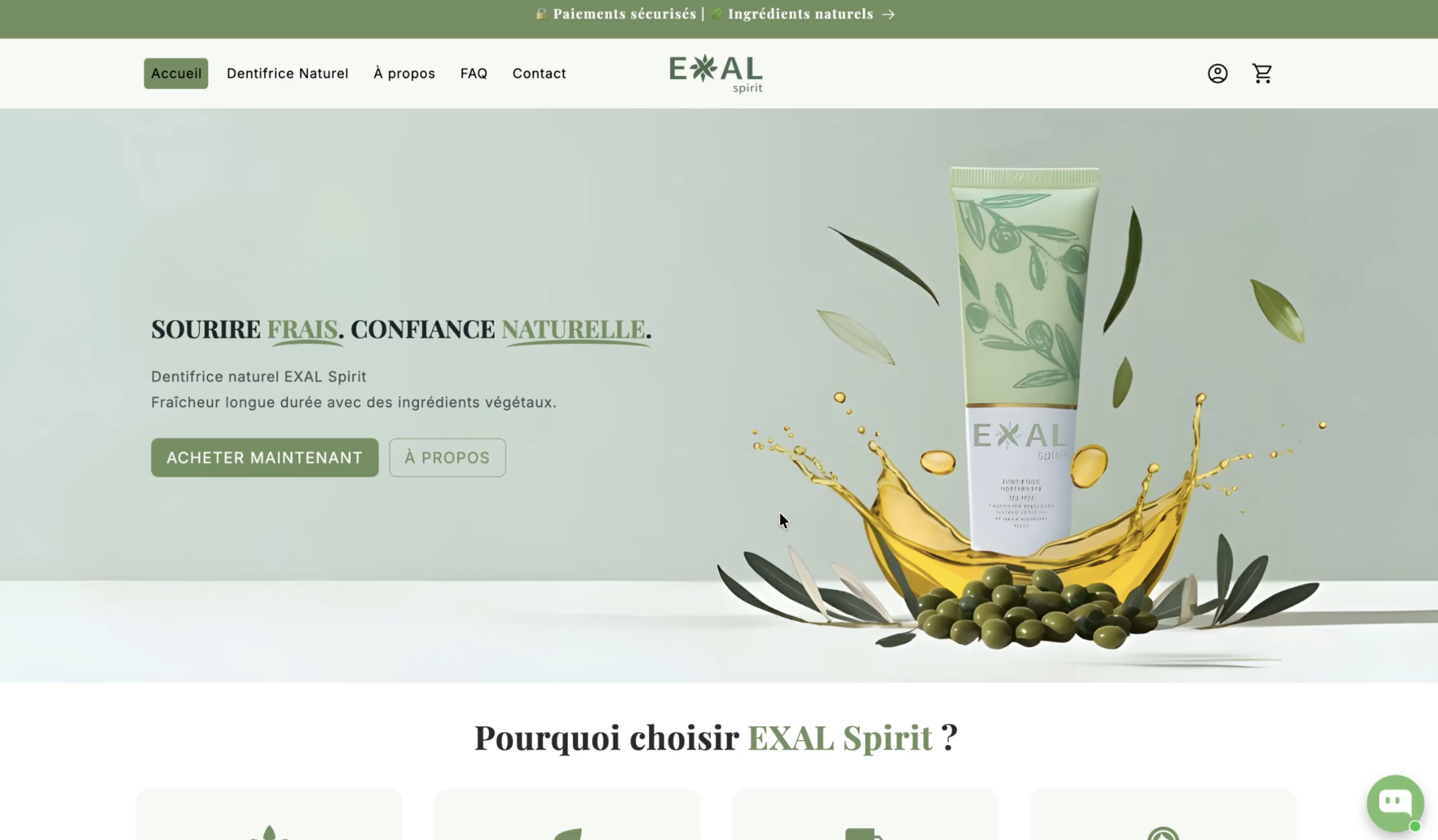 Exal Spirit